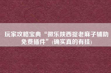玩家攻略宝典“微乐陕西捉老麻子辅助免费插件	”(确实真的有挂)