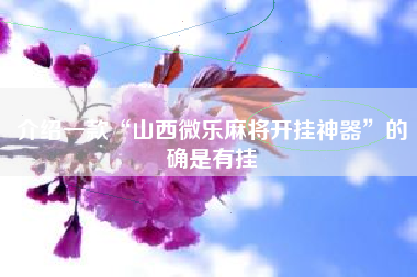 介绍一款“山西微乐麻将开挂神器	”的确是有挂
