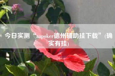 今日实测“aapoker德州辅助挂下载	”(确实有挂)