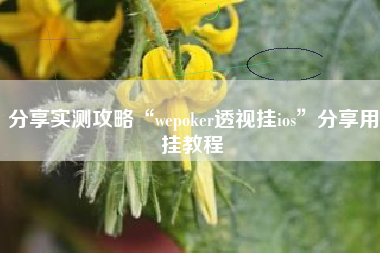 分享实测攻略“wepoker透视挂ios”分享用挂教程
