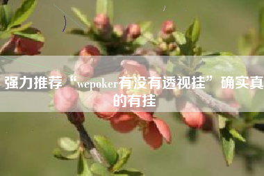 强力推荐“wepoker有没有透视挂”确实真的有挂