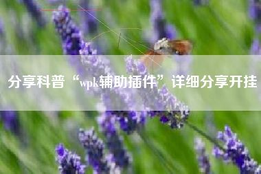 分享科普“wpk辅助插件”详细分享开挂