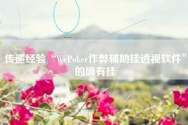 传递经验“WePoker作弊辅助挂透视软件”的确有挂