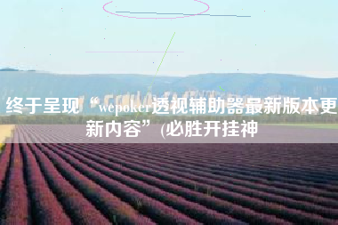 终于呈现“wepoker透视辅助器最新版本更新内容”(必胜开挂神