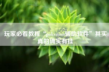 玩家必看教程“pokemon辅助软件”其实真的确实有挂