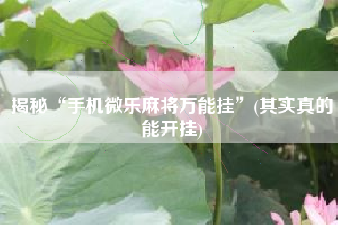 揭秘“手机微乐麻将万能挂”(其实真的能开挂)