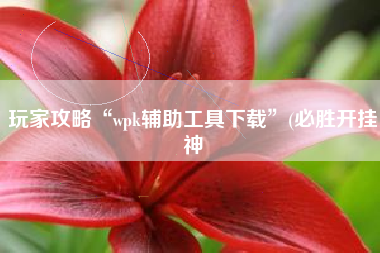 玩家攻略“wpk辅助工具下载”(必胜开挂神