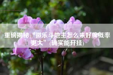 重磅揭秘“微乐斗地主怎么来好牌概率更大	”(确实能开挂)