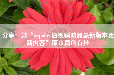分享一款“wepoker透视辅助器最新版本更新内容”原来真的有挂