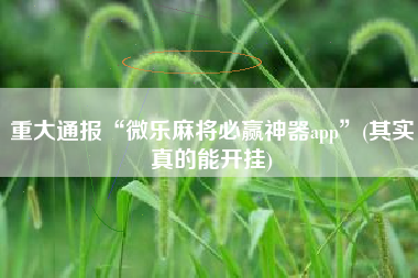 重大通报“微乐麻将必赢神器app”(其实真的能开挂)