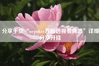 分享干货“wepoker万能透视看牌器”详细分享开挂