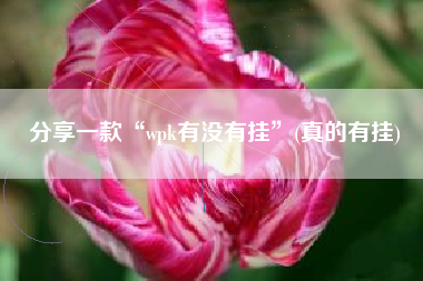 分享一款“wpk有没有挂”(真的有挂)