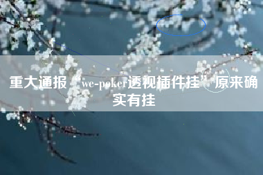 重大通报“we-poker透视插件挂	”原来确实有挂