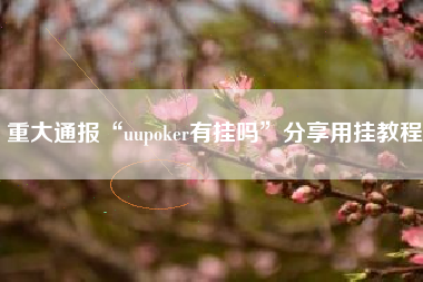 重大通报“uupoker有挂吗”分享用挂教程