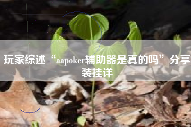 玩家综述“aapoker辅助器是真的吗	”分享装挂详