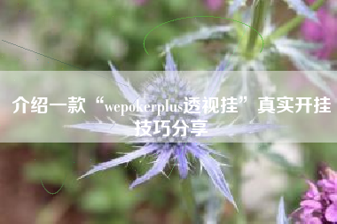 介绍一款“wepokerplus透视挂	”真实开挂技巧分享