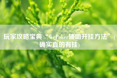 玩家攻略宝典“WePoker辅助开挂方法”(确实真的有挂)