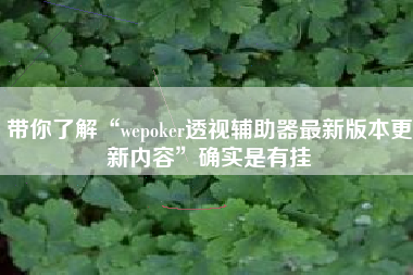 带你了解“wepoker透视辅助器最新版本更新内容	”确实是有挂