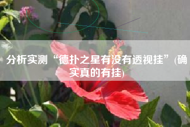 分析实测“德扑之星有没有透视挂	”(确实真的有挂)