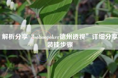 解析分享“sohoopoker德州透视	”详细分享装挂步骤