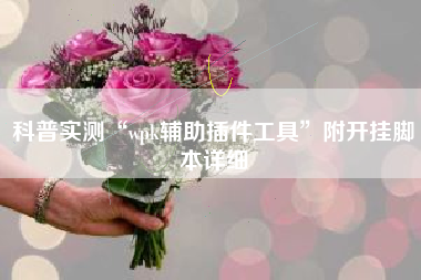 科普实测“wpk辅助插件工具”附开挂脚本详细