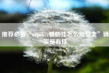 推荐必备“wepoker辅助挂怎么用安全”确实是有挂
