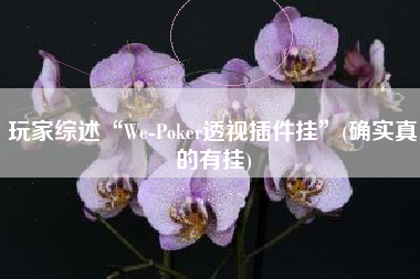 玩家综述“We-Poker透视插件挂	”(确实真的有挂)
