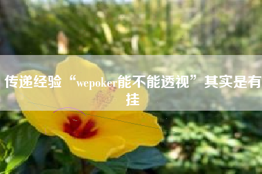 传递经验“wepoker能不能透视	”其实是有挂