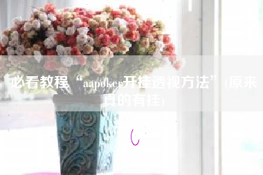必看教程“aapoker开挂透视方法	”(原来真的有挂)