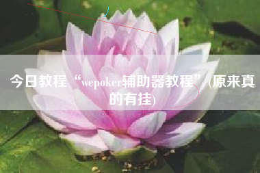 今日教程“wepoker辅助器教程”(原来真的有挂)