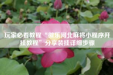 玩家必看教程“微乐河北麻将小程序开挂教程”分享装挂详细步骤