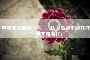 查到实测辅助“wepoker私人局能不能开挂”(其实是有挂)