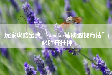 玩家攻略宝典“wepoker辅助透视方法”(必胜开挂神