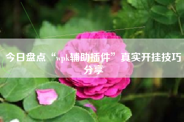 今日盘点“wpk辅助插件”真实开挂技巧分享
