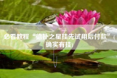 必看教程“德扑之星挂先试用后付款	”(确实有挂)