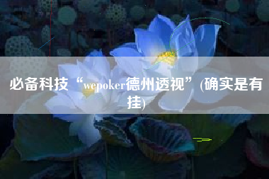 必备科技“wepoker德州透视	”(确实是有挂)