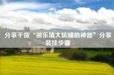 分享干货“微乐填大坑辅助神器”分享装挂步骤