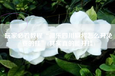 玩家必看教程“微乐四川麻将怎么开免费的挂	”(其实真的能开挂)