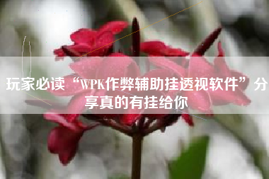 玩家必读“WPK作弊辅助挂透视软件	”分享真的有挂给你