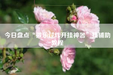 今日盘点“微乐过炸开挂神器	”挂辅助教程