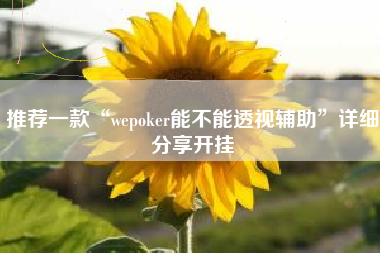 推荐一款“wepoker能不能透视辅助”详细分享开挂