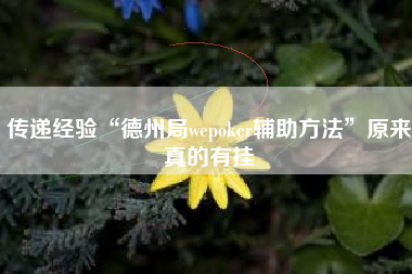 传递经验“德州局wepoker辅助方法	”原来真的有挂