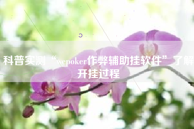 科普实测“wepoker作弊辅助挂软件”了解开挂过程