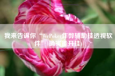 我来告诉你“WePoker作弊辅助挂透视软件”(确实能开挂)