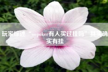 玩家综述“wepoker有人买过挂吗	”其实确实有挂