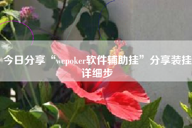 今日分享“wepoker软件辅助挂”分享装挂详细步