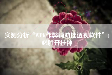 实测分析“WPK作弊辅助挂透视软件	”(必胜开挂神