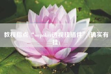 教程指点“wepoker透视挂插件”(确实有挂)