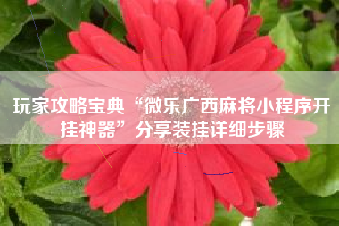 玩家攻略宝典“微乐广西麻将小程序开挂神器”分享装挂详细步骤