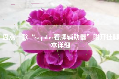 盘点一款“wepoker看牌辅助器”附开挂脚本详细